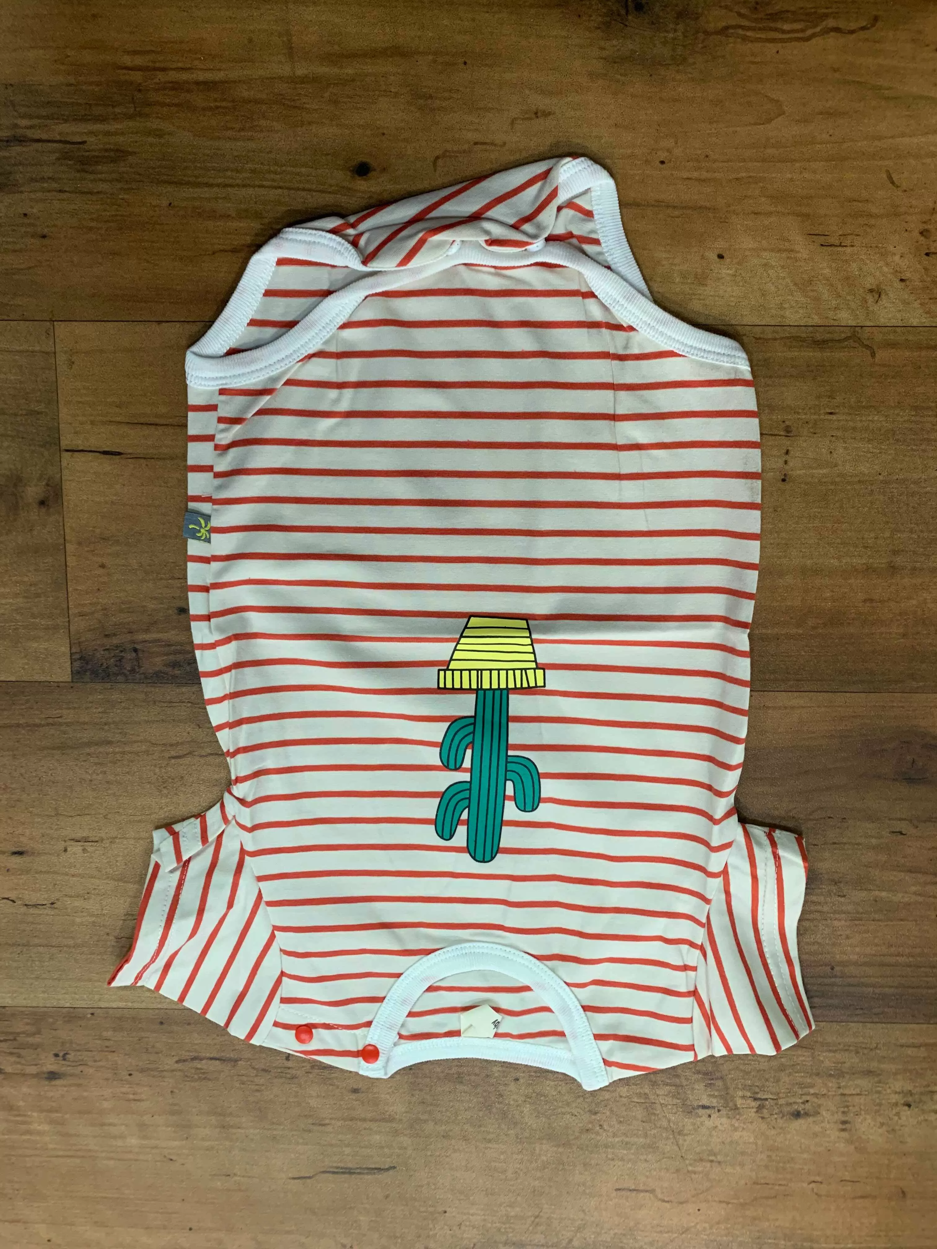 Infant Unisex Striped Cactus Graphic Print Romper