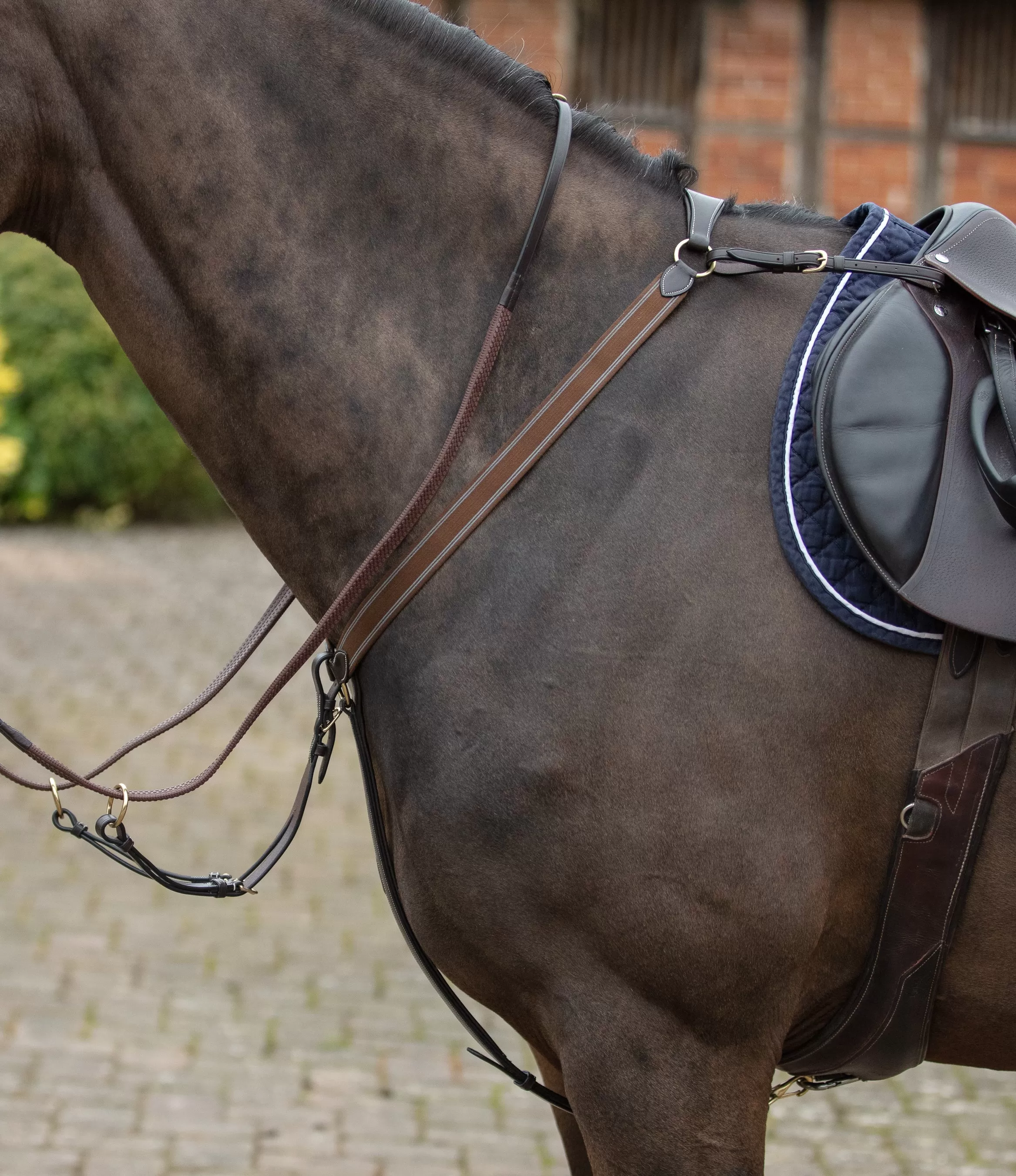 Mark Todd 3 Point Elasticated Breastplate