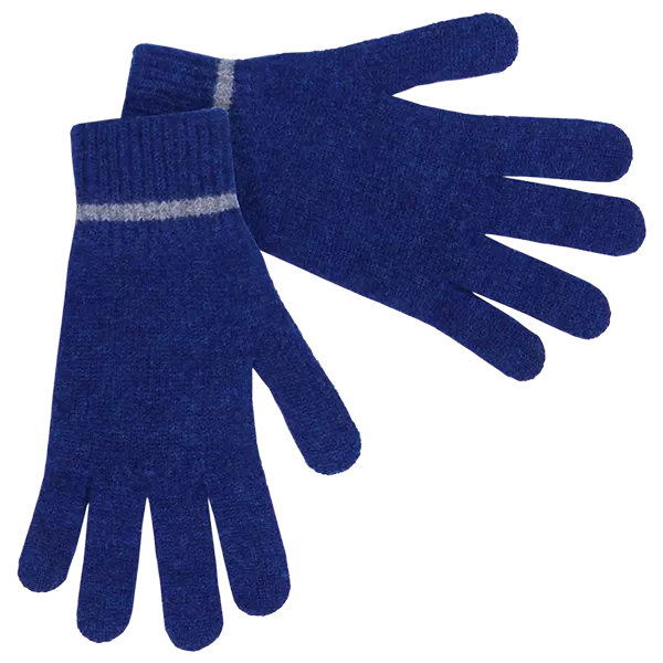 Ravenclaw Gloves